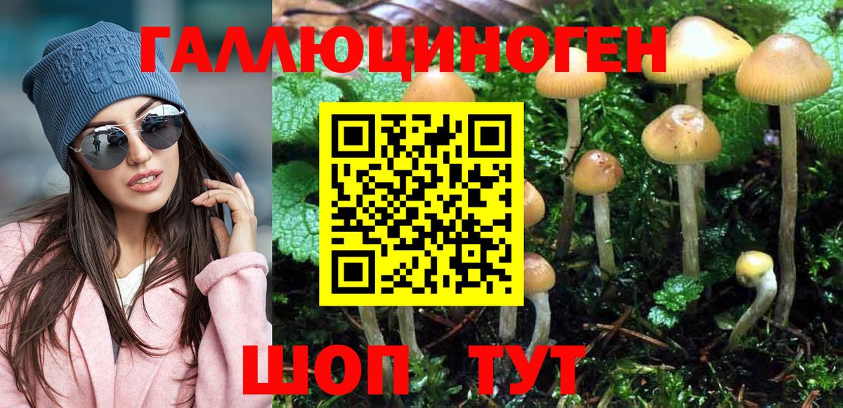 Зима  Галлюциногенные грибы MAGIC MUSHROOMS  Вход с VPN 