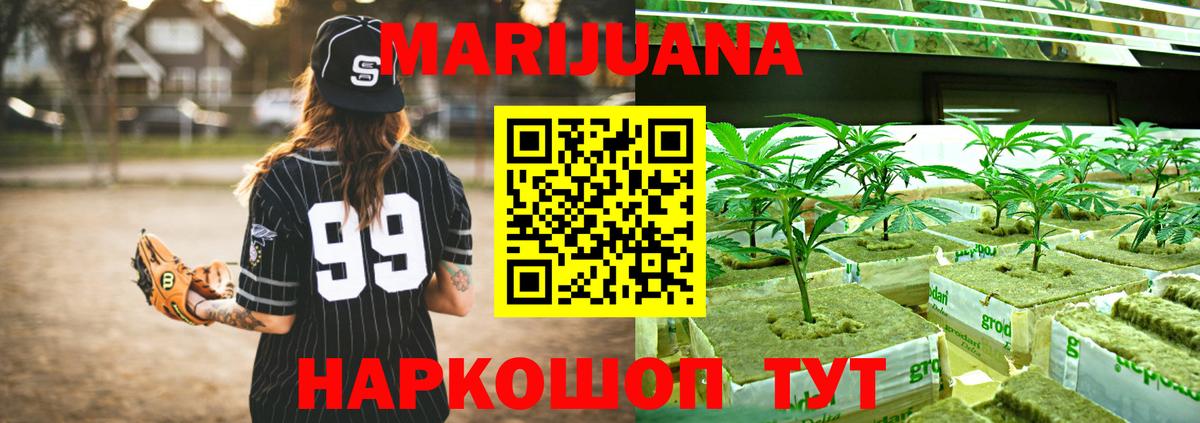 Каннабис планчик Зима